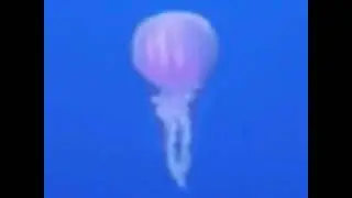 Disney Pixar Finding Nemo (2003) voice Frank Welker as squishy