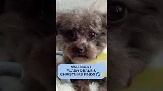 Charlie and I Found Fall Flash Deals 🎁🍂