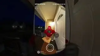 Gorilla delivering pizza..