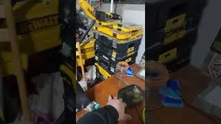 Live highlight