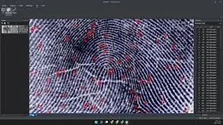 Fingerprint reconstruction software