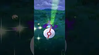 Shadow Mudkip - Perfect IV??
