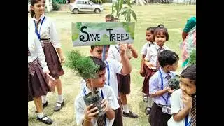 World Environment Day celebration at school (5th June)...Tree plantation and Drawing competition...🙂