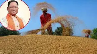 29 जनवरी 2026। छत्तीसगढ़ का मुख्य समाचार| CG News | Raipur News Today | Chattisgarh News