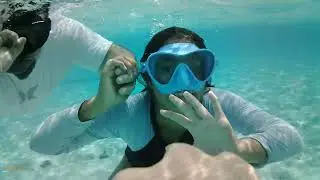 snorkeling with small sharks, raiatea-tahaa lagoon, French Polynesia
