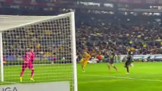 What a GOAL from Andre Pierre Gignac in Derby of Mexico (UNAL Tigres vs UNAM Pumas)