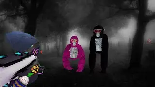 Trying to prove the existence of Gorilla Tag ghosts, AGAIN!
