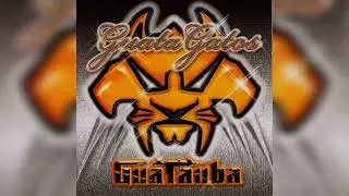 Guata cats - Don Chezina