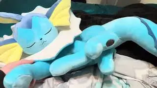 i found a sleeping vaporeon pokemon at walmart