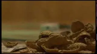 FILMWAVE - Hope in a Nutshell