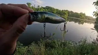 4K Big Bass Fishing in USA Brazos Bend State Park Alligator Bowfin Crappie Megabass KSKBAITS Shimano