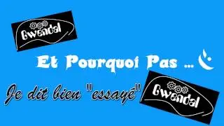 Gwwendall Modding devient Et Pourquoi Pas