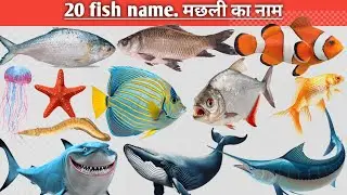 Fish Names for Kids | Machhliyon ke Naam | Water Animals Learning Video in Hindi English