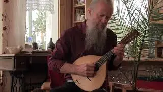 Wiener Blut 1.-2. (Johann Strauss II) – Toomas Rannu (mandoline) tremolo version #mandolin