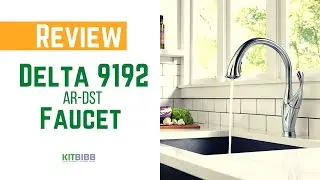 Delta 9192 AR DST Faucet Review - KITBIBB