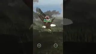Wild Animals Online (WAO) - New Birds Update