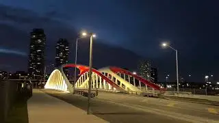 Live! Stream Walk Into the Distillery District