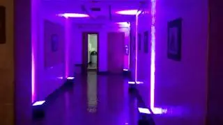 NY Event Lighting, NY & NJ Event DJ - LSNY Events - Beth Elohim Park Slope