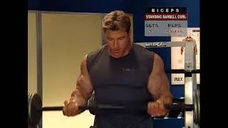 Muscle and Fitness   Training System   Arms