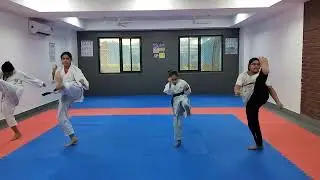 From the first move to perfect form&mdash;learn Beginner Karate techniques at KarateKicks Academy.&rdquo;