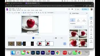 Vids