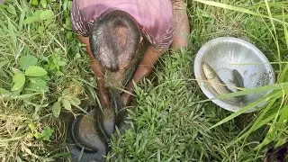 Amazing Technique! Village Boy Catches So Many Taki Fish in a New Way | Village Fishing
