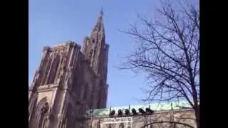 272.Straßburger Münster 31 / Cathédrale de Strasbourg 31