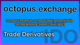 OCTOPUS PROTOCOL  ido на Prostarter | Разбор проекта