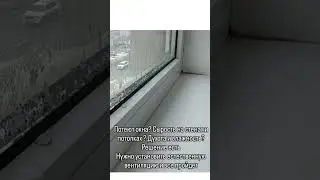 87713932808 ватсап