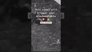 This video will TRIGGER your ARACHNOPHOBIA ⛔️😨 #shorts #randomphobias1
