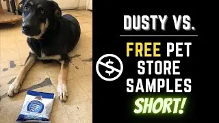 🐶🤪 German Shepherd TRIES Free Pet Store Samples - Short