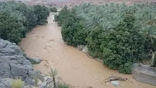 &lsquo;Don&rsquo;t ignore safety advice&rsquo; Oman experts say and more top stories