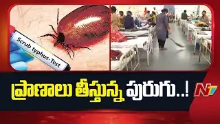 One Di*es by Scrub typhus in AP | NTV Telugu