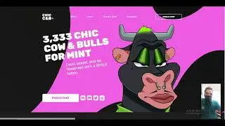 Chic Cow & Bullzz NFT Collect NFTs, breed, feed, fight,  rewarded with a MILK token