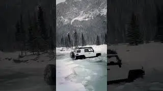 FJ Cruiser be like can I get out 😛😛😋 |#shorts #youtubeshorts