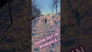 Snow day in Romania #visitromania #winter #snowlife