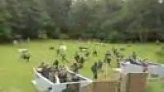 Blow me away Paintball