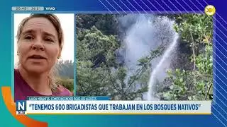 Laura Mirantes nos cuenta la situación de los incendios en Chubut | N20:30 | 29-01-2026