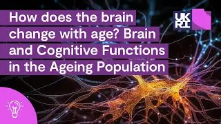 How does the brain change with age? Part #1 | Brain and #CognitiveFunction in the #Ageing Population