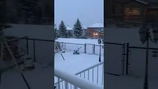 Snowfall 2023, Calgary Alberta #snow #snowfall #calgary #snowwhite