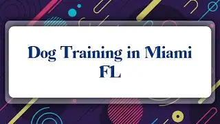 Top 10 Dog Training in Miami, FL