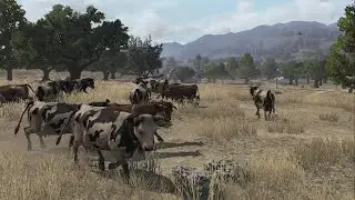 Finally i earn money in rdr