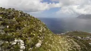 FPV South Africa - Last 6 months with Freedom X4