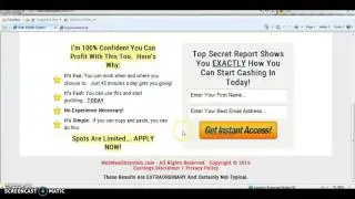 Web Wealth System Review - How To Make Money Online - Vincent Lee