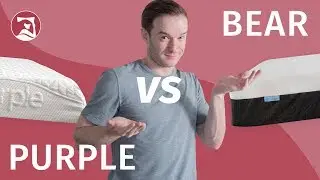 Purple Vs Bear - Which Will You Choose?