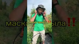 How to Kill Garden Pests &mdash; Easy Fix! Лучшее средство от вредителей &mdash; проверено! #farming #garden