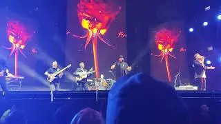 EL BARRIO - BILBAO 2023 - EL LICENCIADO, INCREÍBLE CONCIERTO - #ARRUMAKO #elbarrio #flamenco #barrio