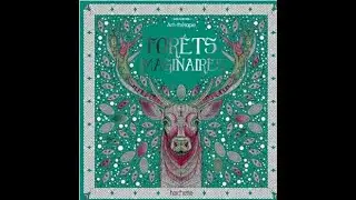 Flip Through For&ecirc;ts imaginaires from Lireka