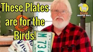 Making a Wren Birdhouse 