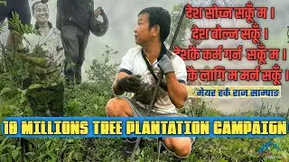 मेयर हर्क साम्पाङको १ करोड विरूवा वृक्षारोपण कार्यक्रम|MAYOR HARKA SAMPANG TREE PLANTATION CAMPAIGN